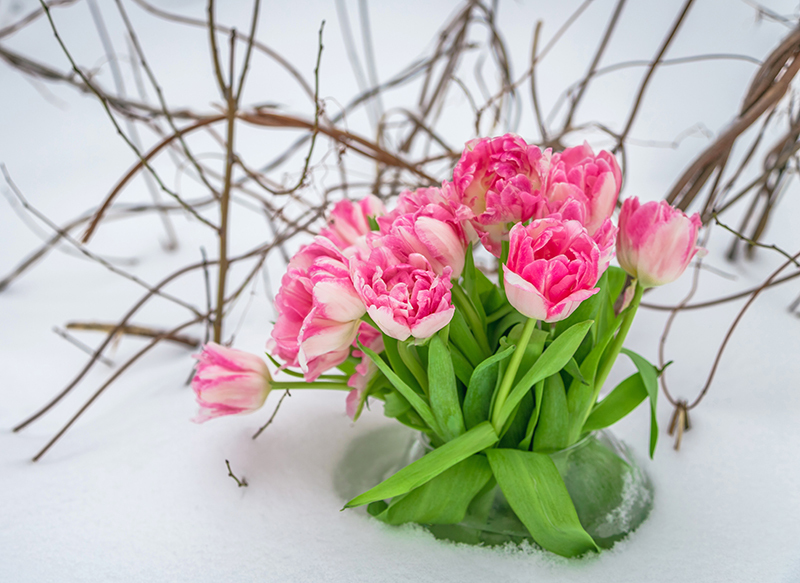 spring flowers bouquets