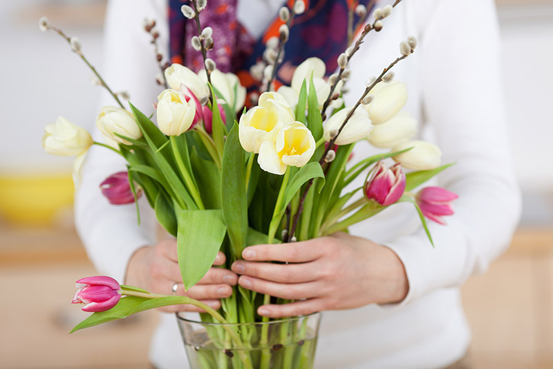 lilies 